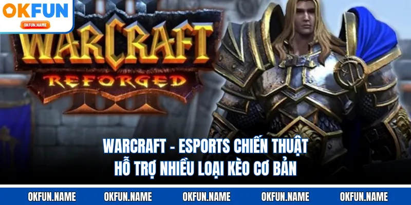 Warcraft - Esports Chiến Thuật Hỗ Trợ Nhiều Loại Kèo Cơ Bản